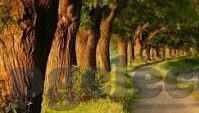 北京足球直播比分直播-北京足球直播与比分直播，数字时代的绿茵激情新体验