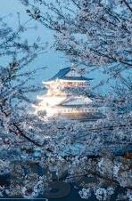 今日007足球比分-今日007足球比分，绿茵场上的风云变幻与数据背后的深度解读