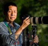 足球比分 伊朗中国-绿茵烽火，伊朗中国足球比分背后的风云变幻